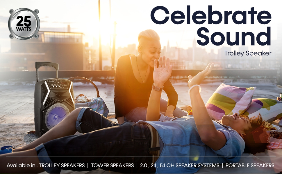 Impex TS 25B 25 W Multimedia Portable Trolley Speaker with Mic & LED Light