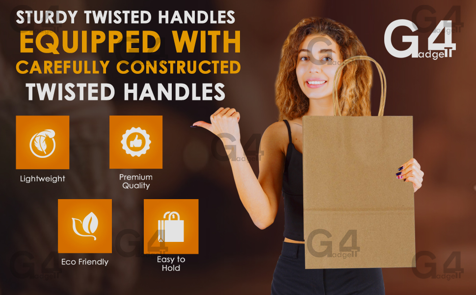 4 Kraft Paper Bags with Twisted Handles