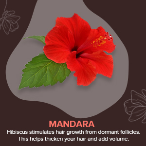 Buy TYC Anti Aging Hair Repair and Anti Hair Fall Shampoo  Hair 