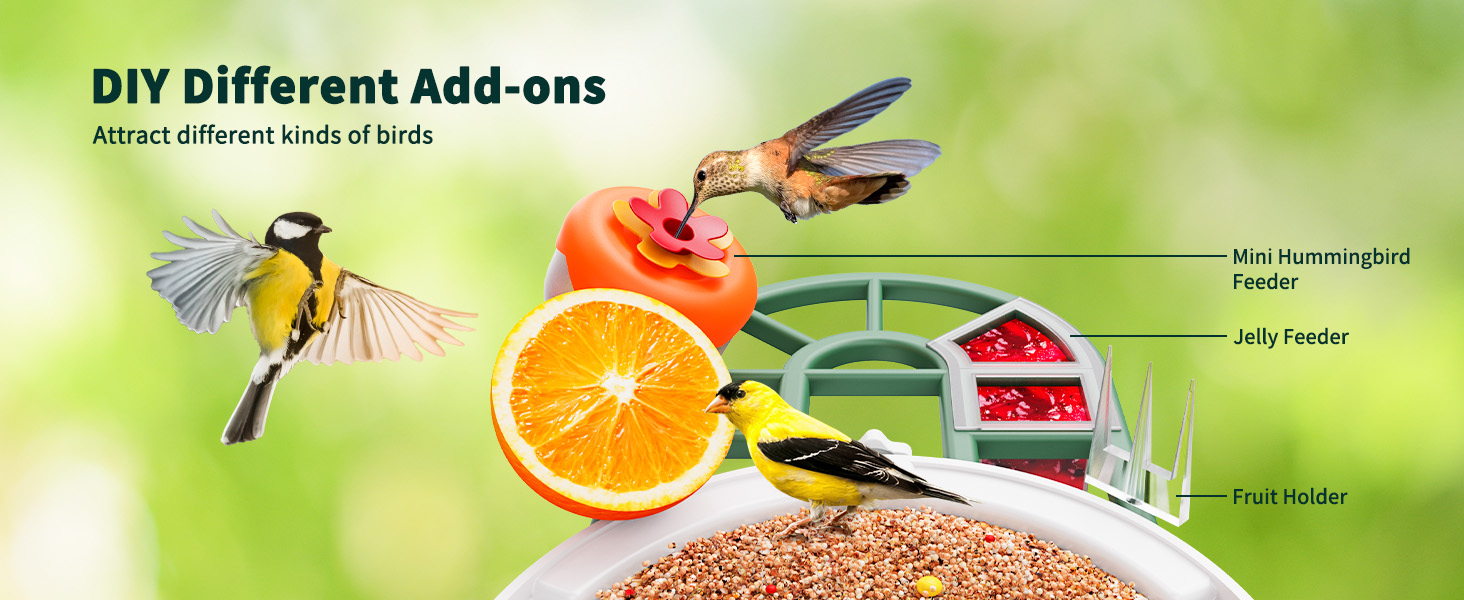 smart bird feeder with camera diy different add-ons