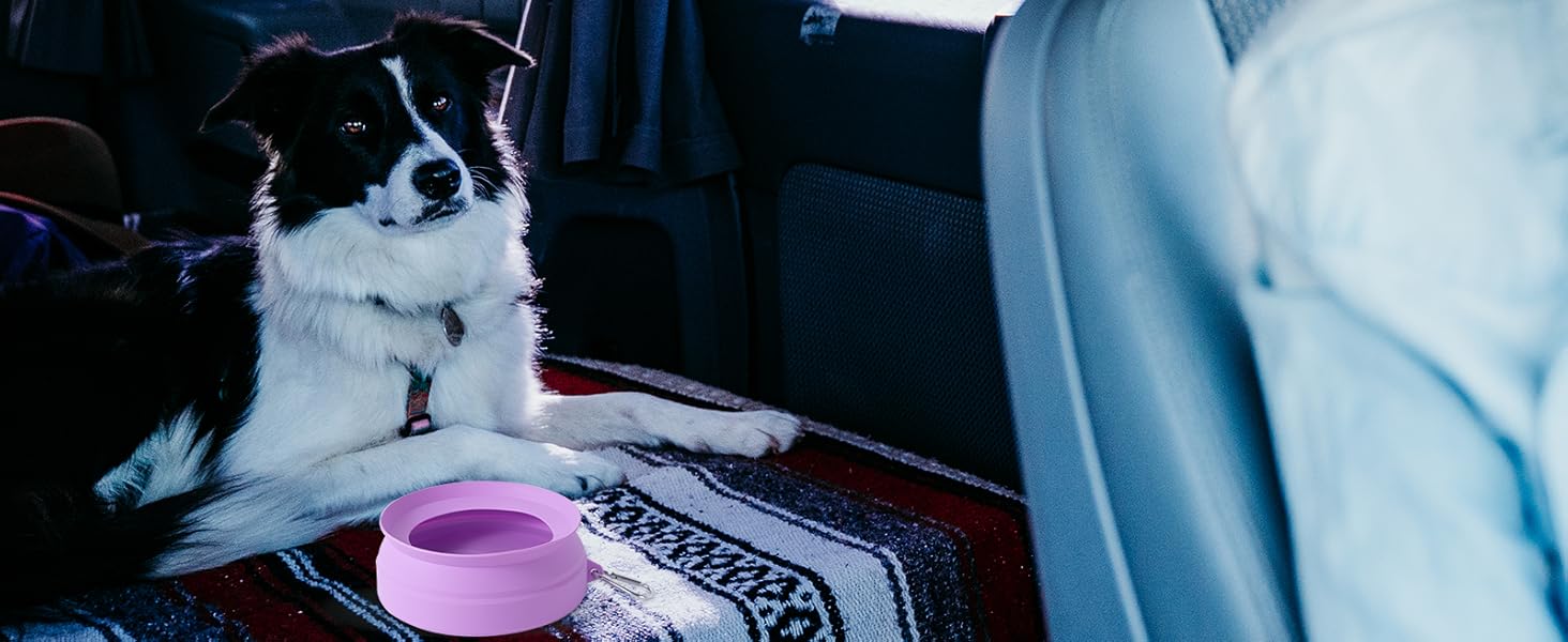 dog travel bowls