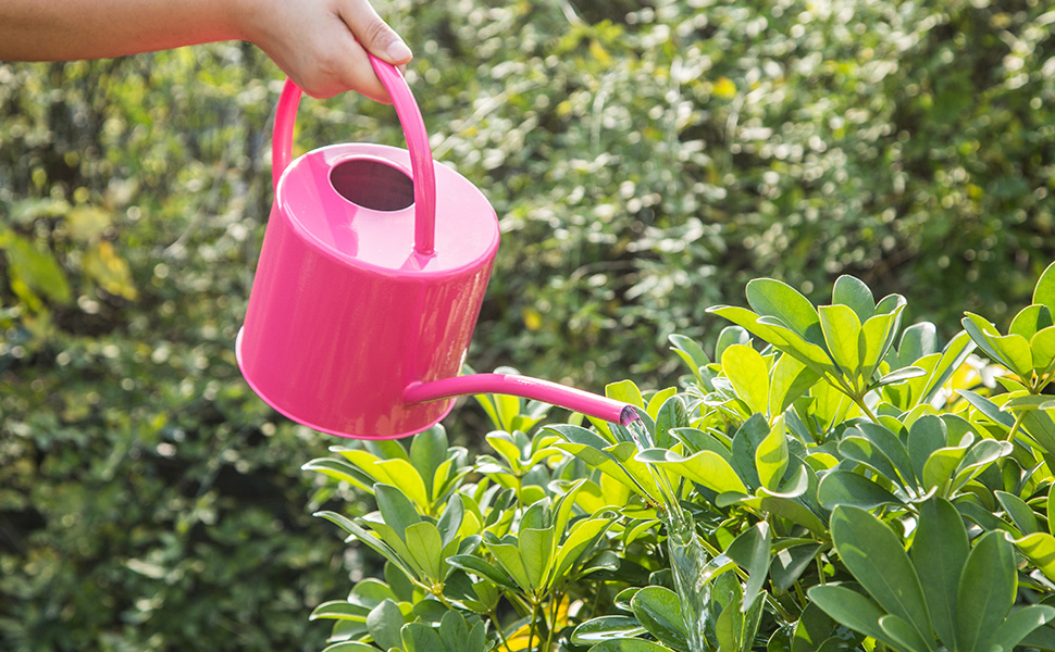 Metal Watering Can 1.5L. Modern Style Watering Pot with