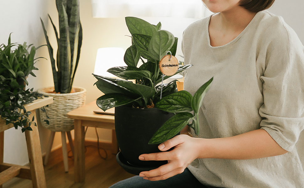 SYOUACEND Plant Labels, 25pcs Wooden Garden Markers Signs