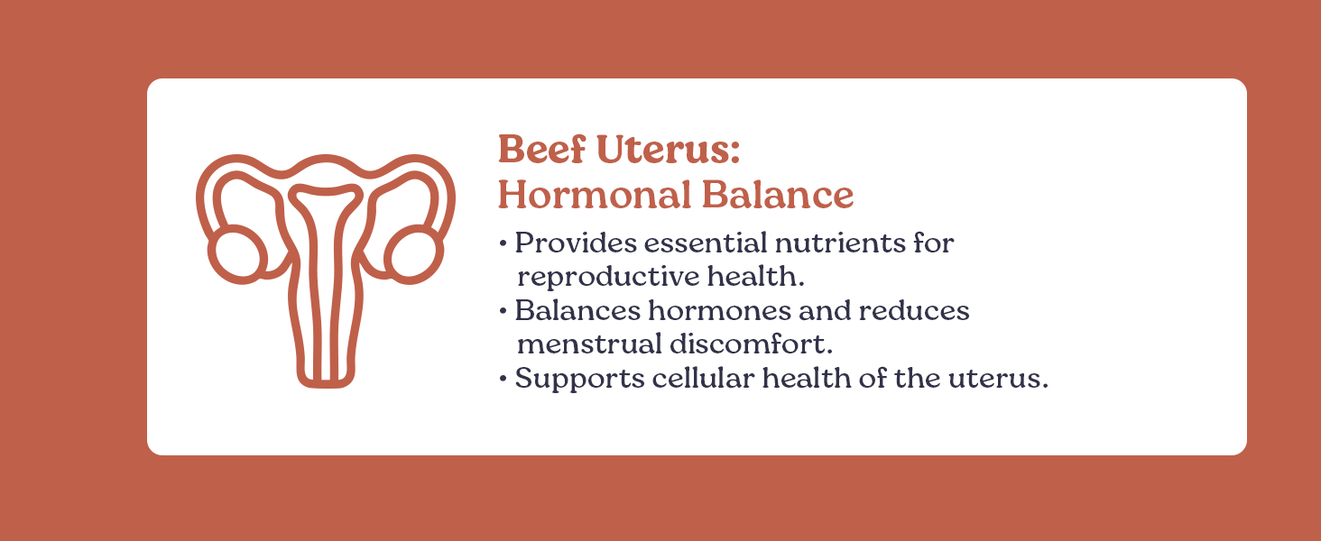  Primal Woman Female-Focused Beef Organs Superfood