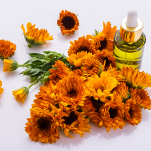 Skin-Calming Arnica and Anti-Aging Hylauronic Facemask 