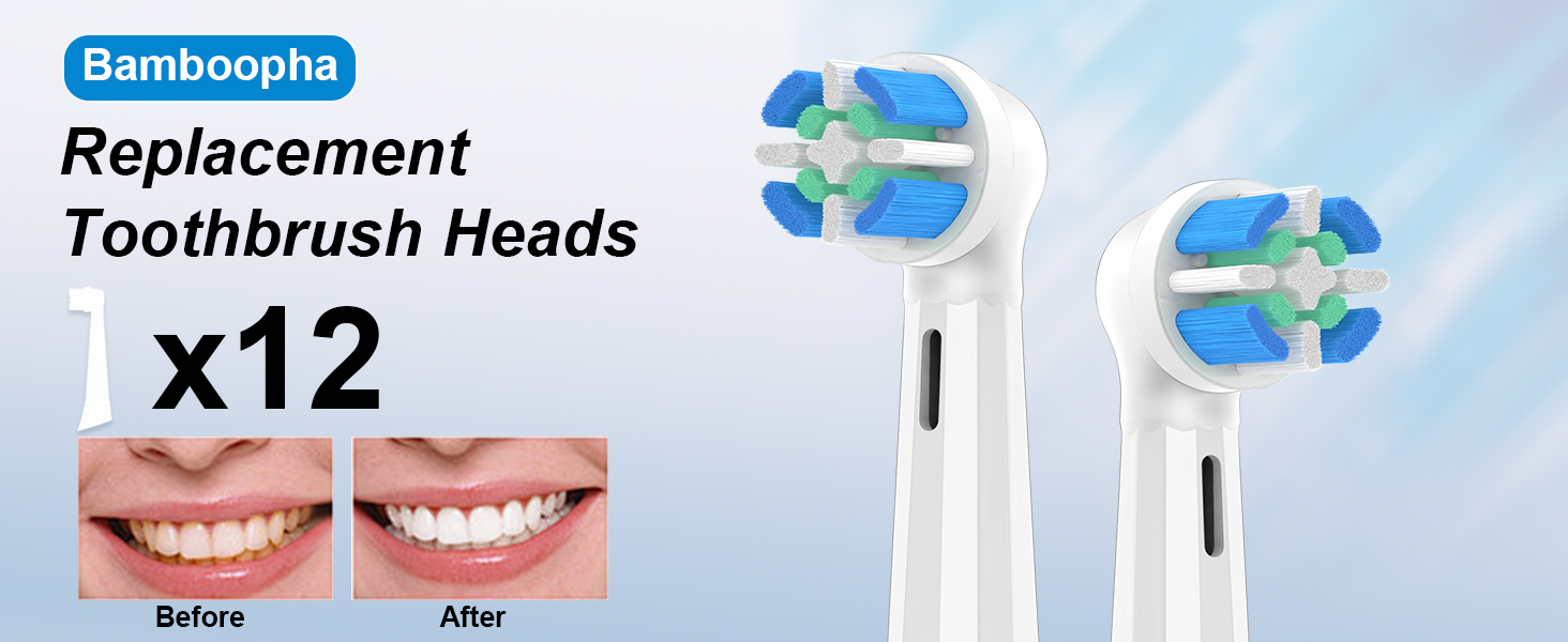 Replacement Toothbrush Heads