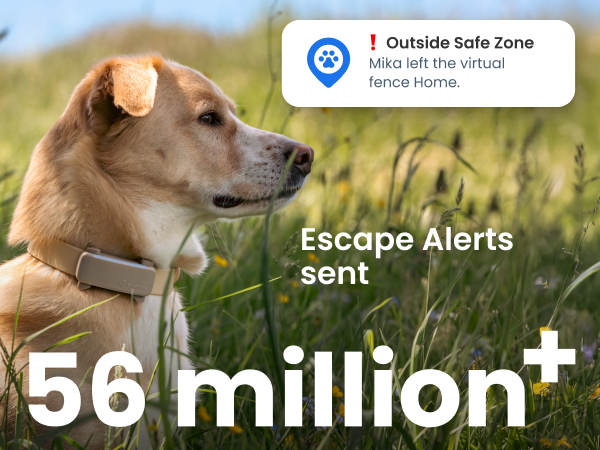 56 million escape alerts sent