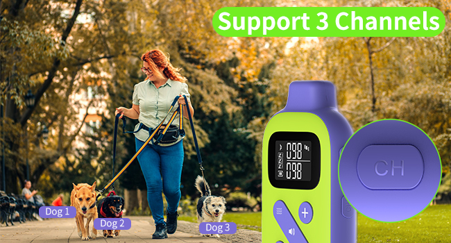 No Shock Dog Training Collar