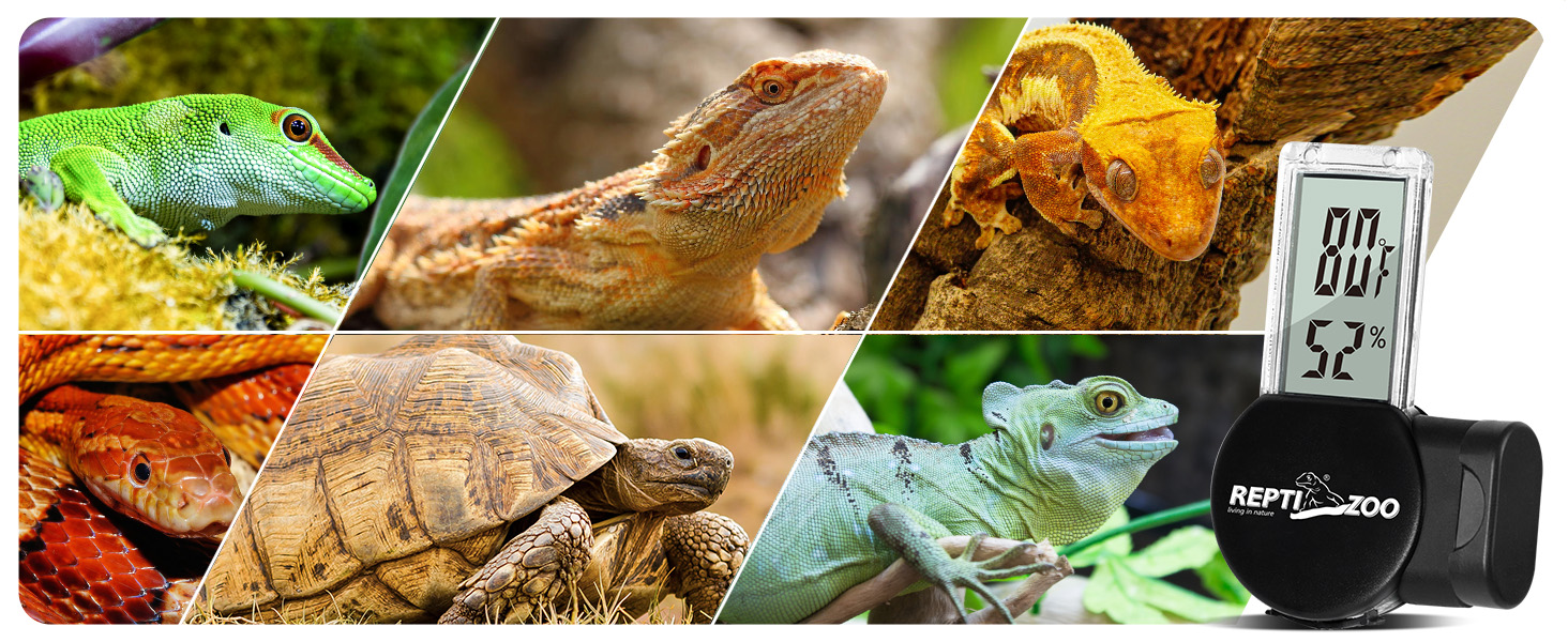 reptile humidity gauge