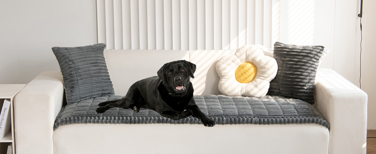 couch covers gray