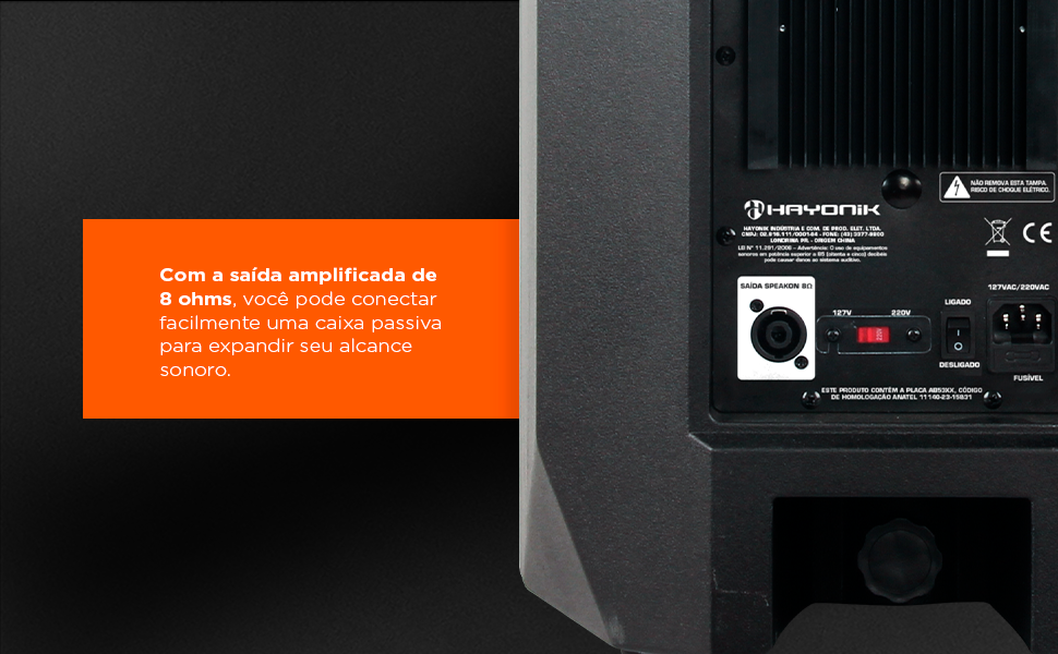 Saida amplificada