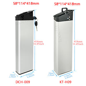 48v battery for electric bike