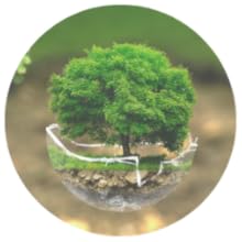 Free From Artificial Preservatives