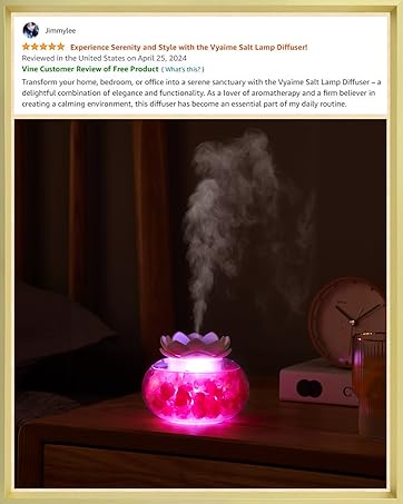 Essential Oil Diffusers Aromatherapy Diffuser: Vyaime Salt Lamp Diffuser for Home Bedroom Office