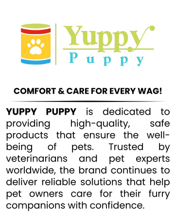 Pet accessories  Dog accessories  Cat accessories  Dog grooming