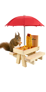 squirrel feeder
