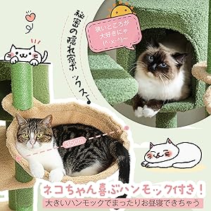 Amazon | PAWZ Road キャットタワー 大型 多頭飼い スリム 猫