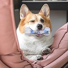 歯磨きボール5 迷彩ブルー