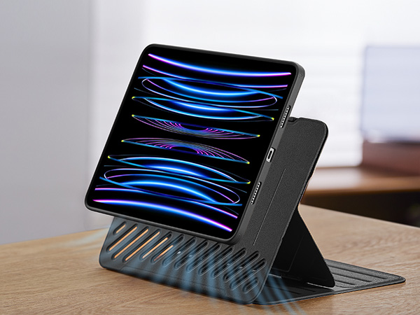 iPad Pro 11 Inch Case