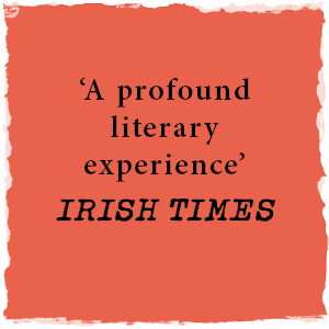 'A profound literary experience' IRISH TIMES