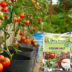 Small manufacture image 3