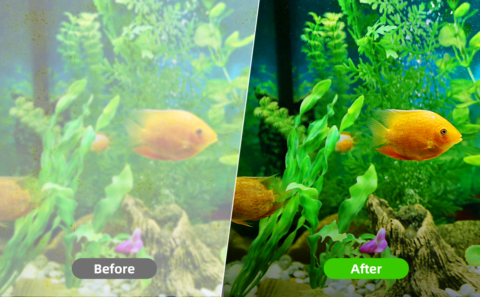 magnetic aquarium glass cleaner scraper