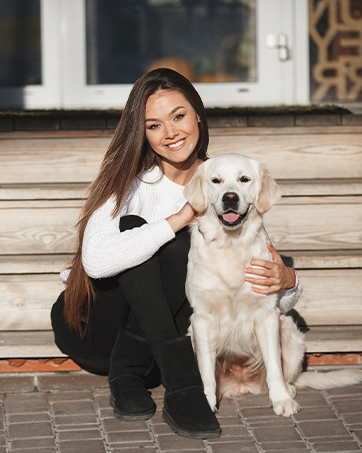 orthopedic dog bed