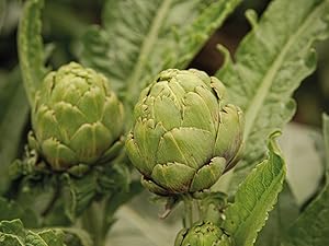 Small manufacture image 1