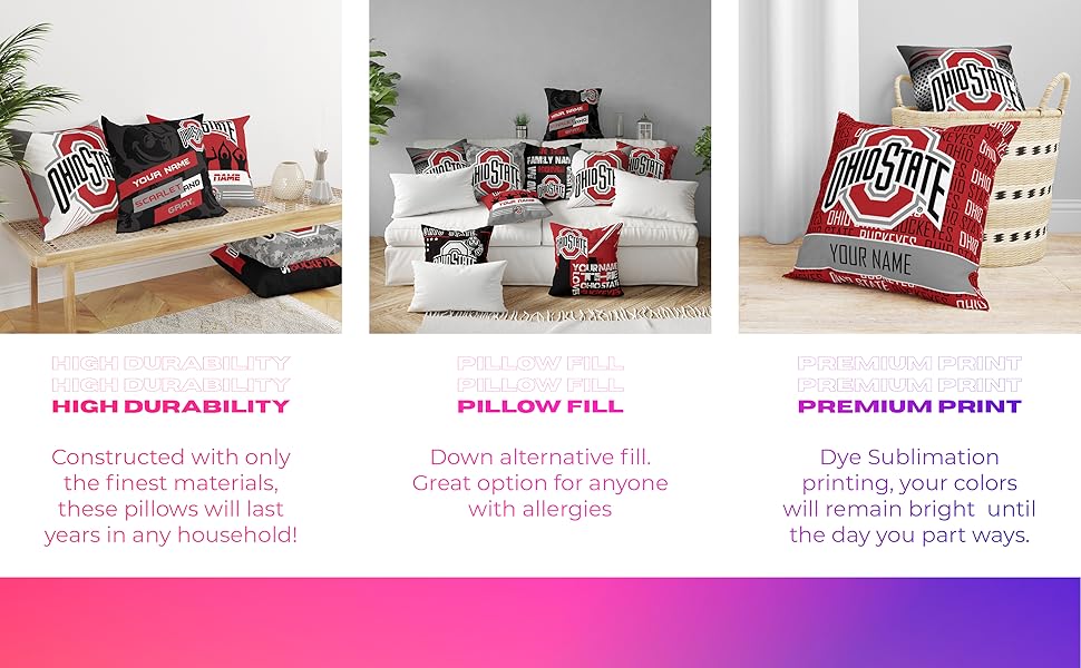 The Ohio State Buckeyes Skyline Throw Pillow Personalized