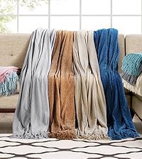KASENTEX Ultra Soft Quilt Coverlet Blanket Set - Machine Washable, Lightweight, Stone-Washed, Detailed Stitching (Ivory, C417f996 722a 4e5a Be0e B9134d558309. CR100,0,400,450 PT0 SX200 V1