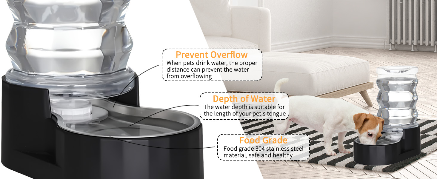 black pet water feeder