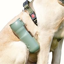 Portable Food and Water Dispenser A+ Content