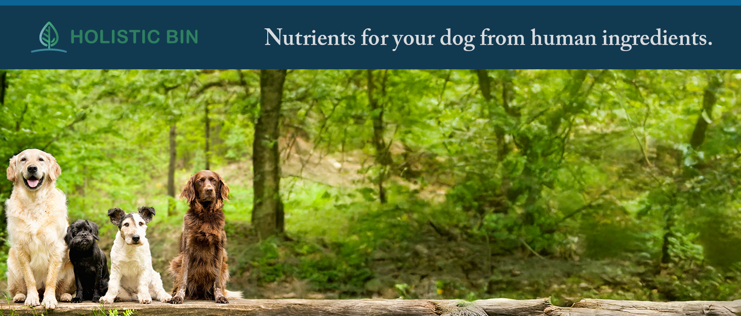 sea kelp dog cholodin muscle powder gut sprirulina canine pet skin thyroid probiotic coat bone broth