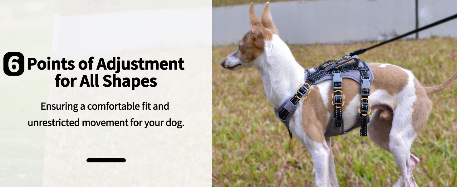 dog harness with handle 