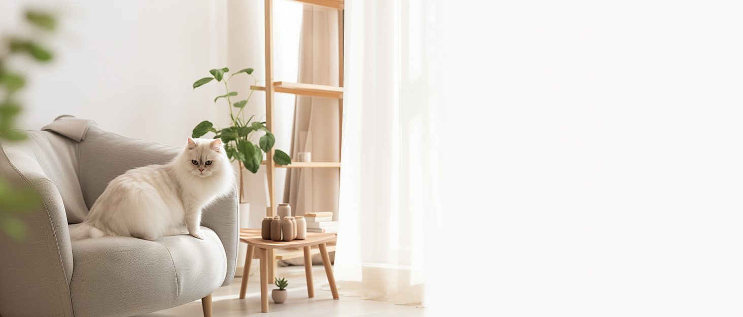 Puyikes Cat Window Perch,Window Cat Hammock with Robust