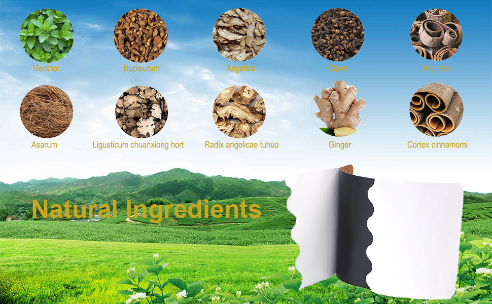 Large manufacture image 4