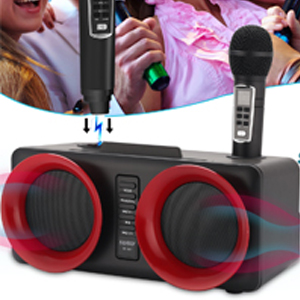 ALPOWL Machine de karaoké, système de Haut-parleurs Portable avec 2 Microphones sans Fil pour fête à la Maison, réunion, Mariage, église, Pique-Nique, extérieur/intérieur (Or) Chargez les micros sans effort