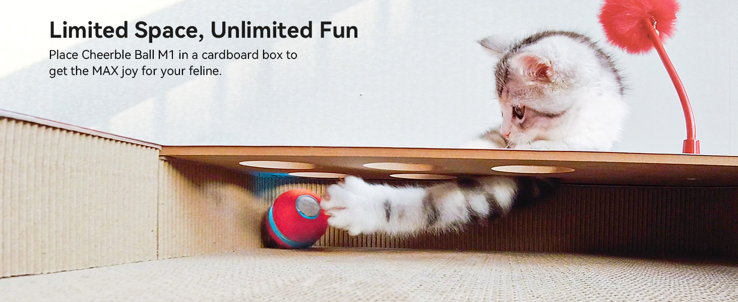 Cheerble Interactive Cat Toy