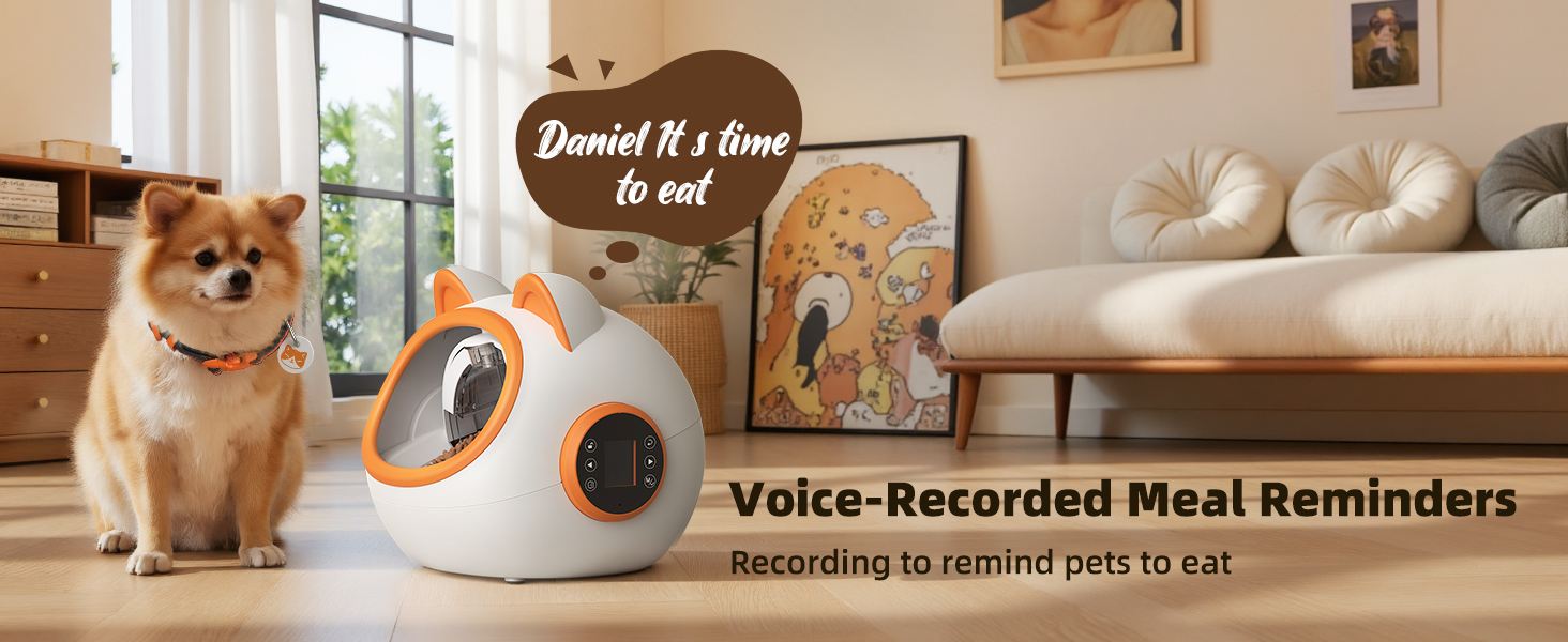 automatic pet feeder for cats