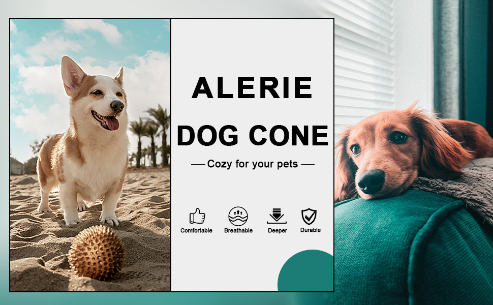 ALEIRE Large Dog Cones Collar for Medium Large Dogs for