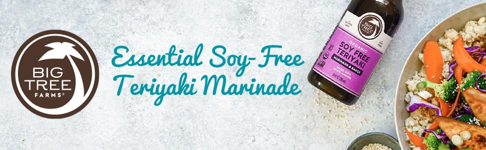 teriyaki marinade