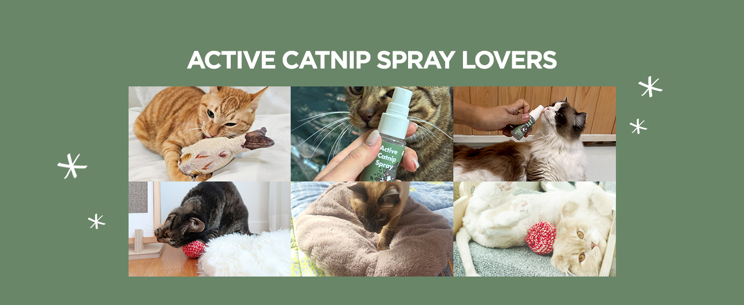 Catnip Spray