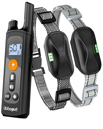 Dog Training Collar