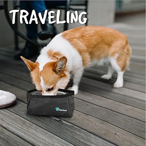 pet food bowl water bowl for traveling