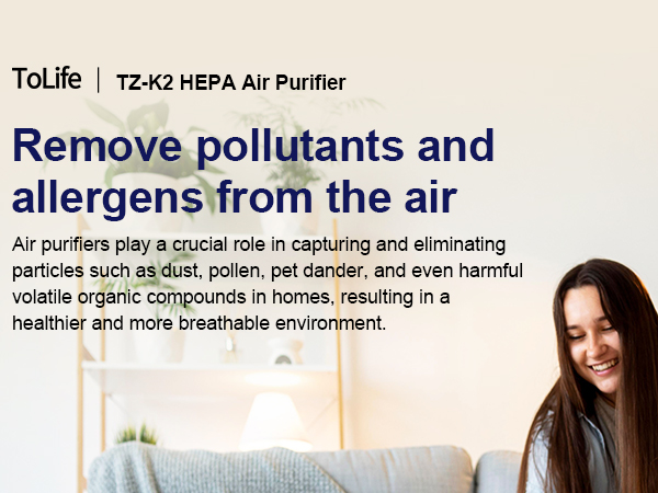 air purifier