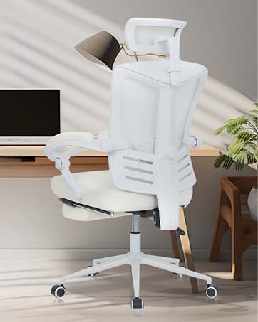 Ergonomic Office Chair