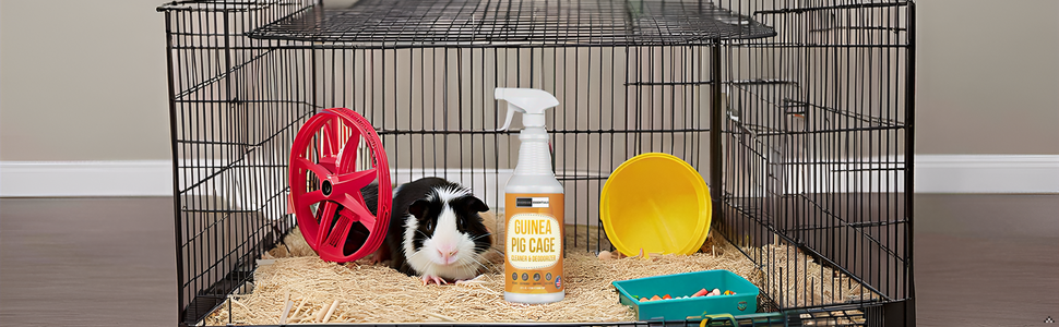 Image generated for ASIN B0DKGBXLJG