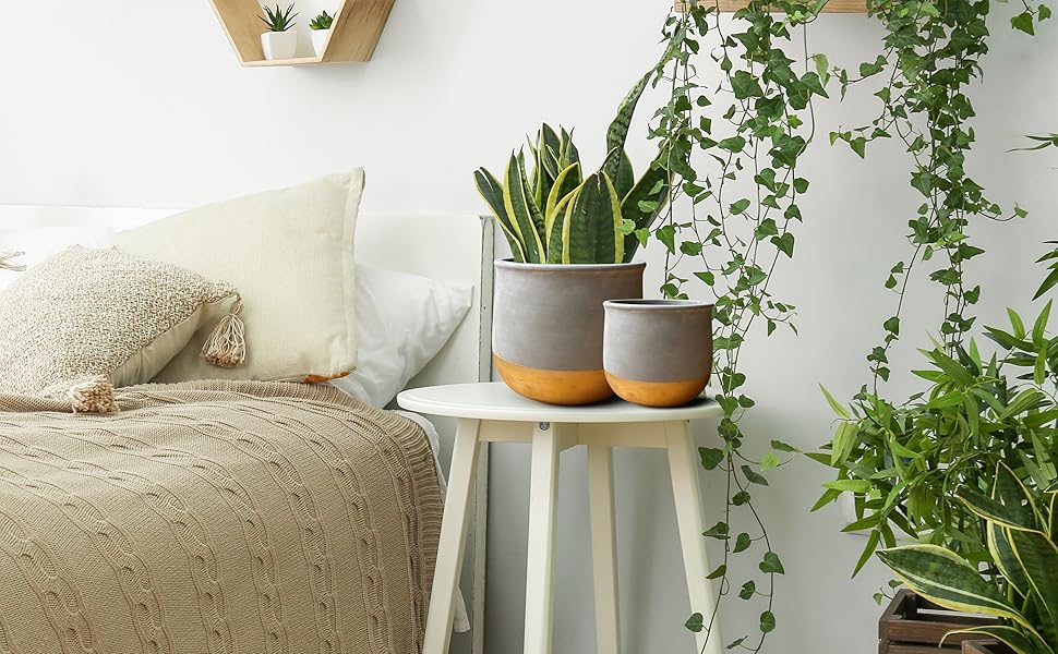 gold dip plant pot set 2