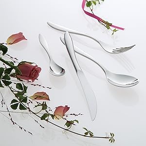 Amazon.co.jp: Todai 匠 ディナーカトラリーセット 5pcs 1人用