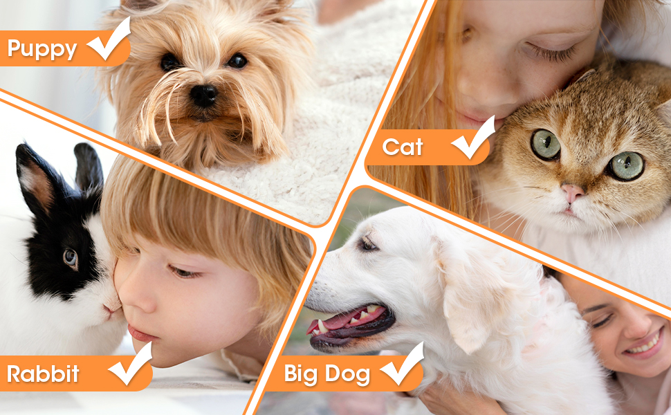 pet paw print impression kit